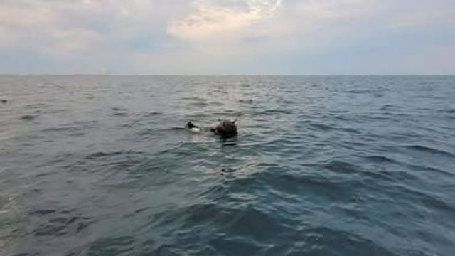 Minele aflate în derivă în Marea Neagră, subiect de ceartă între MApN și Ambasada Rusiei la București