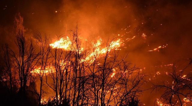 Incendii masive de vegetație în Spania și Franța. Stare de urgență națională și sute de mii de oameni evacuați