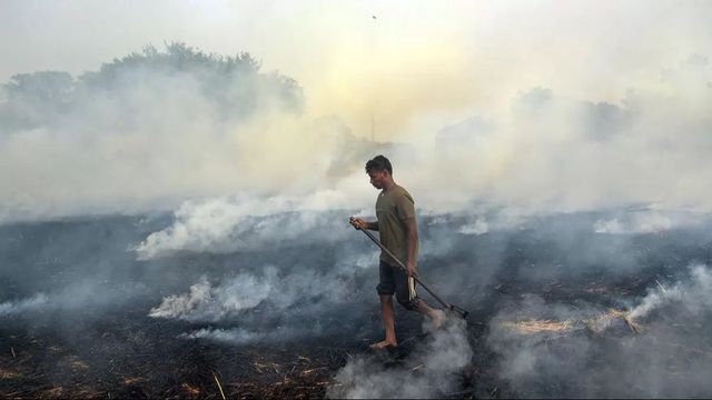 ‘Your job to control it’: Supreme Court pulls up Delhi government over pollution