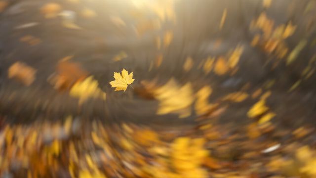 Жълти кодове за силен вятър са обявени за 18 области в България