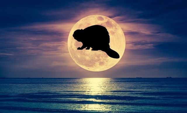 Luna plină din Taur, 5 noiembrie 2025: Încredere și optimism pentru toate zodiile