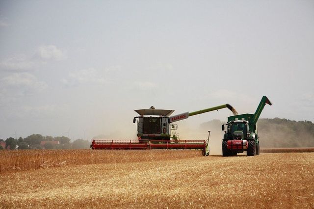 România, locul 7 la nivel european în privința producției agricole