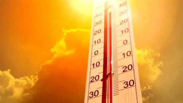 Bucureștiul și 11 județe sub avertizare cod galben de caniculă