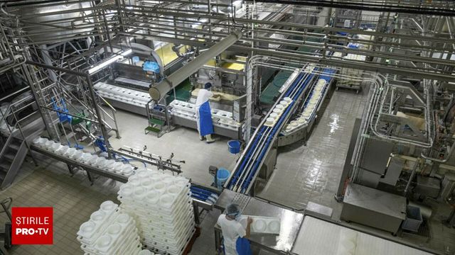 Acte semnate – Cel mai mare producător de lactate închide o fabrică din România și concediază angajați