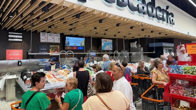 Gadis, compromiso y empleo en Castilla y León
