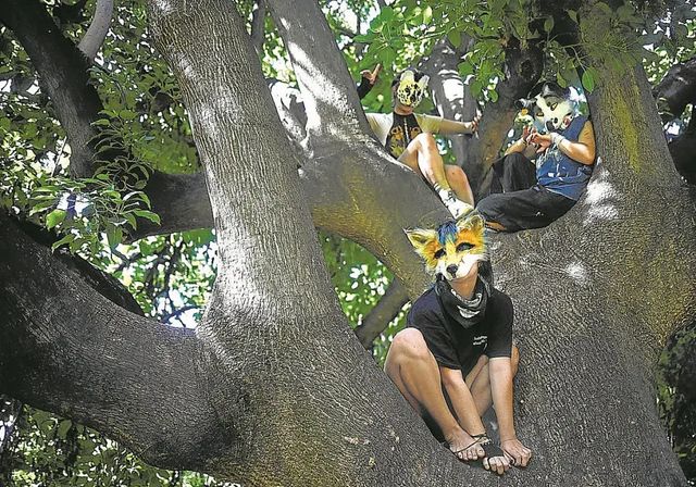 Los beneficios de la cuadrupedia y otras excentricidades para cultivar la salud