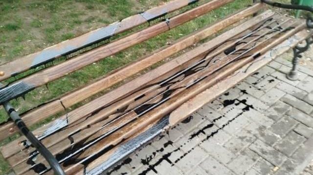 Mai multe bănci dintr-un scuar din capitală, vandalizate cu vopsea