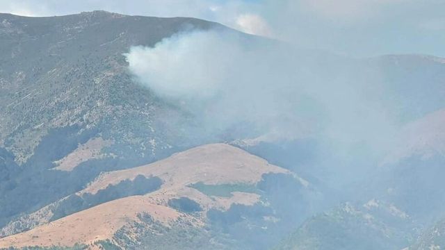 Военен хеликоптер отново се включи в гасенето на пожара над Антон