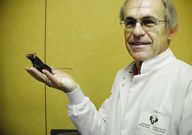 Un estudio sobre los efectos de correr una maratón en el cerebro, segundo más importante del año para la revista 'Nature'