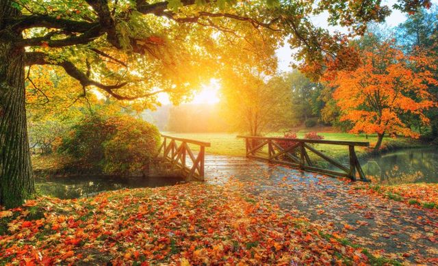 Prognoza meteo 14 noiembrie. Vreme frumoasă, dar cu ceață dimineața și seara