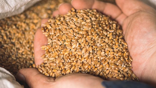 Денков: Проблемът, който поставиха зърнопроизводителите, всъщност е решен
