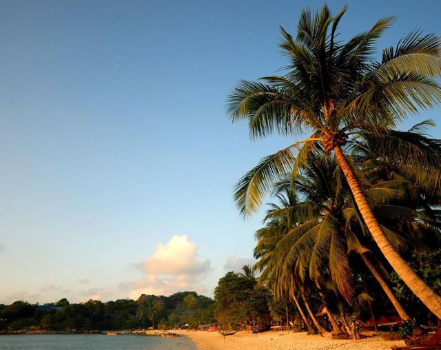 Cinquantunenne veronese trovato morto su una spiaggia di Zanzibar