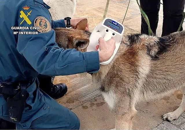 Un hombre de 84 años arrastra a su perro atado al parachoques del vehículo que conducía en Cantabria