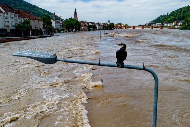 Inundațiile au făcut prăpăd în Germania. Cel puțin patru persoane au murit și mii de oameni au fost evacuați