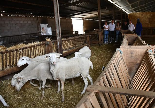Presos en tercer grado se apuntan a la Escuela de Pastores para rehacer sus vidas