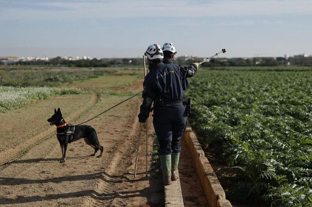 Aparecen otros dos cuerpos en la Albufera y otro en Pedralba, Valencia