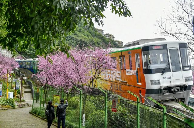 Treno travolge operai in Cina, 11 morti e due feriti