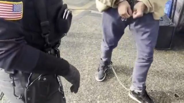 White House Shares Footage Of Illegal Migrants In Chains, Handcuffs