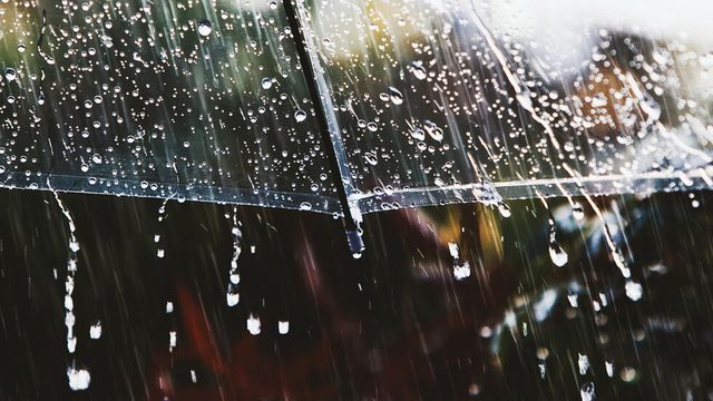 Жълт код за опасни валежи в 8 области