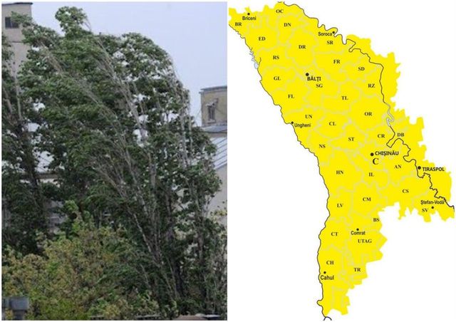 Vânt puternic în toată Republica Moldova! Meteorologii au emis cod galben