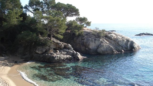 Estado de las playas y calas enCatalunya este jueves, 24 de julio de 2025