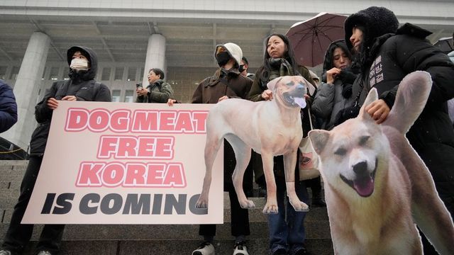 Corea del Sur dejará de comer carne de perro