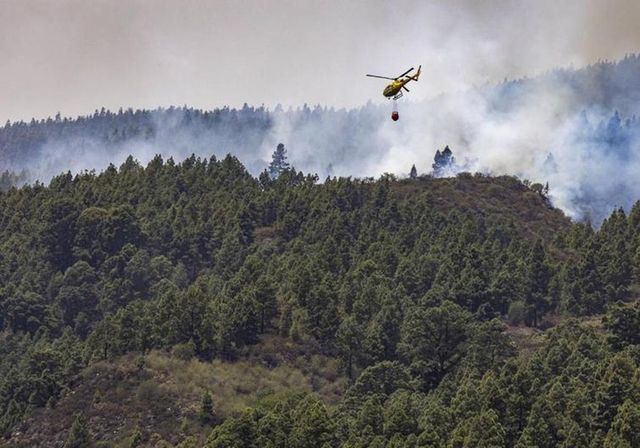 El Gobierno canario declara el nivel 2 en el incendio de Tenerife, reactivado el miércoles