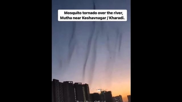 Watch: Terrifying ''Mosquito Tornado'' Sweeps Through Pune, Sparks Panic