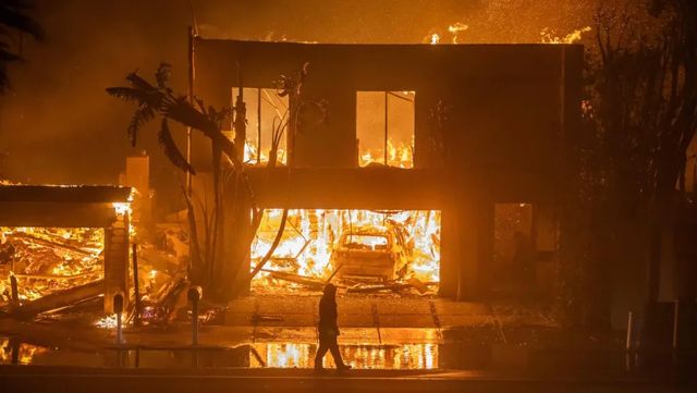 Un tiempo adverso y el vegetación acumulada provocan «incendios imposibles de extinguir»