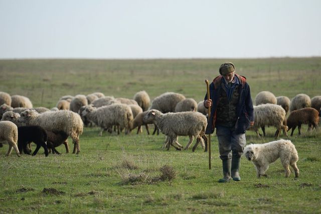 România și-a îmbunătățit ușor poziția în clasamentul mondial al calității vieții