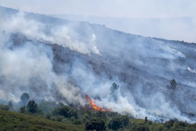 ¿Puede llegar el incendio de Guadalajara a Soria?