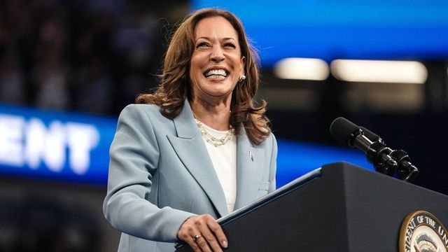 Kamala Harris secures enough delegate votes to be Democrat presidential nominee