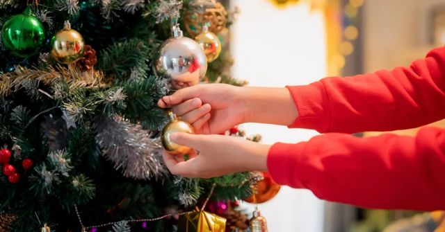 Vánoční stromky letos zdraží asi o pět procent, jedli lidé pořídí od 750 Kč