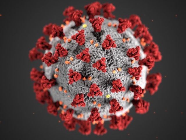 320 новите случаи на коронавирус у нас