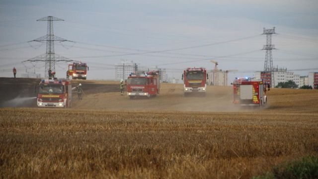 Incendiu de vegetație la Poarta Albă. În apropiere se află un cămin pentru persoane vârstnice