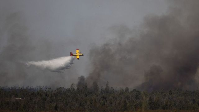 El incendio de Niebla duplica su superficie en un día: afecta a 8.000 hectáreas y el humo avanza hacia Sevilla