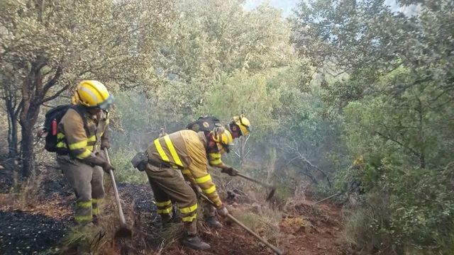 Los incendios en Castilla y León evolucionan favorablemente