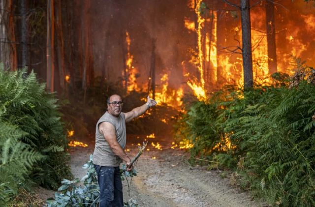 Portugalia e în flăcări: Pompierii luptă să oprească incendiile masive de vegetație
