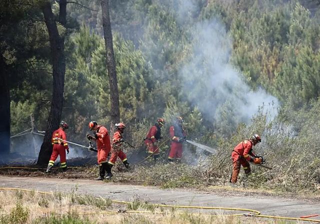 El fuego vuelve a poner Collserola en vilo con desalojos y confinamientos