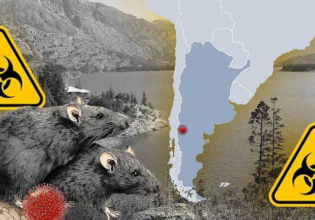 El caso del cumpleaños, el velatorio y los 11 muertos por hantavirus