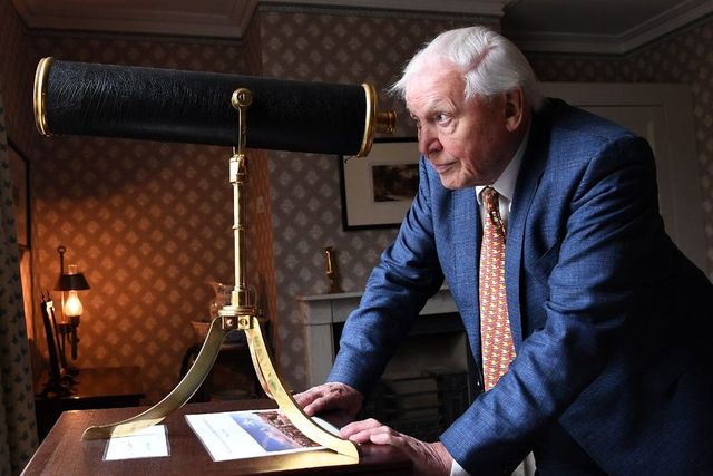 Egy évszázad a természet szolgálatában – 100 éves David Attenborough