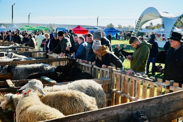 Tradiții, muzică și bucate autentice la Cimișlia: Festivalul…