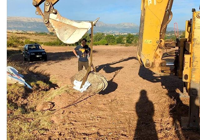 Hallan una huella de 125 millones de años de un dinosaurio gigante en Burgos