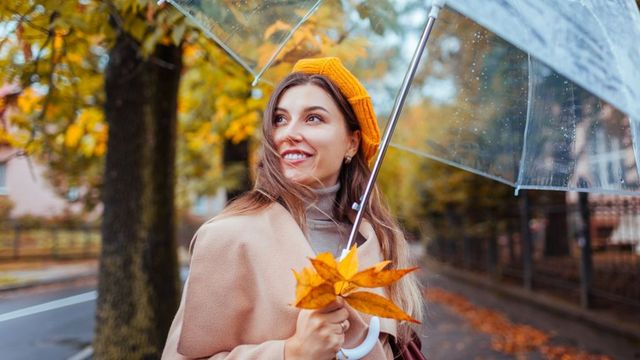 „Телематик Интерактив България“ организира онлайн среща на 7 ноември 2025 г.