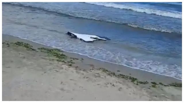 Fragment de dronă, găsit pe plaja de la Corbu. Cei aflați la malul mării au alertat autoritățile