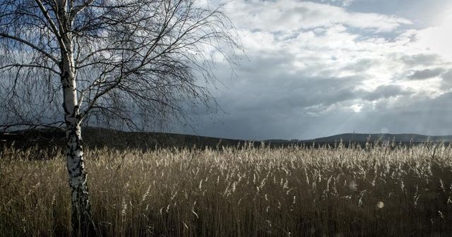 Česko čeká deštivý týden, objevit se mohou i bouřky