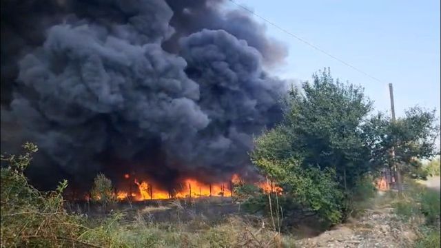 Un nou incendiu de vegetație uscată