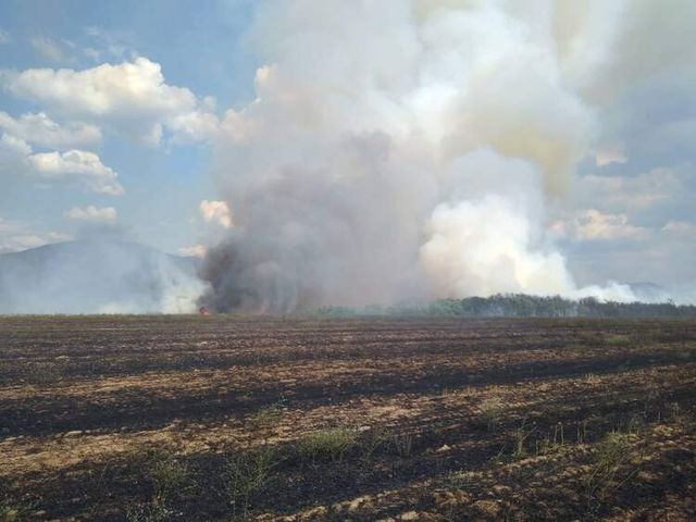 Пожар гори близо до военния полигон в Казанлък