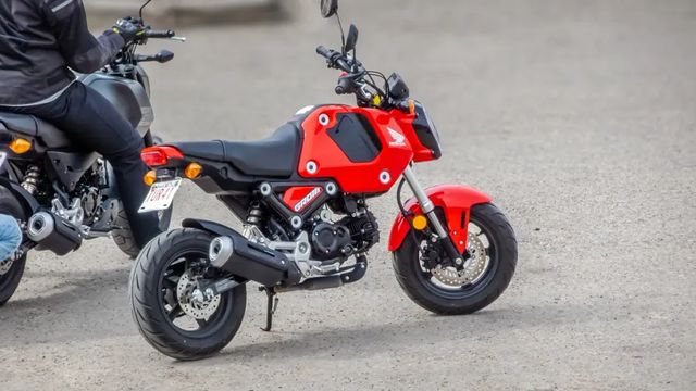Alla guida della minimoto a 10 anni, muore nello scontro con una jeep