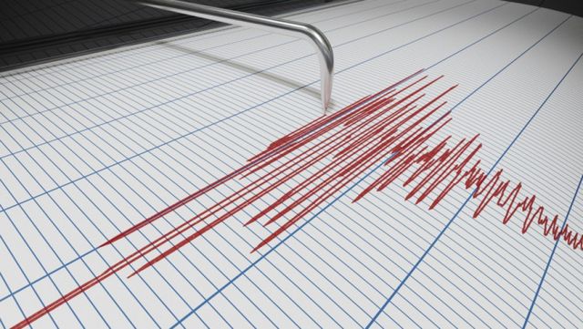 Cutremur cu magnitudinea 4,6 în Gorj